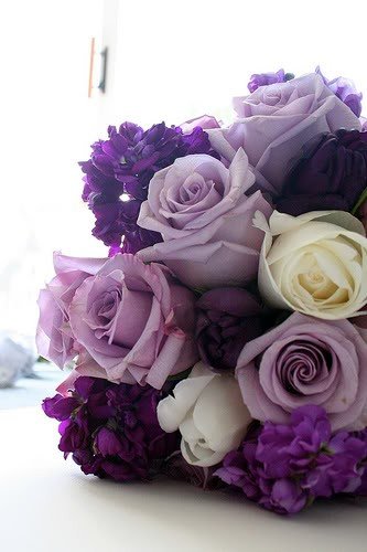 boards.weddingbee.com